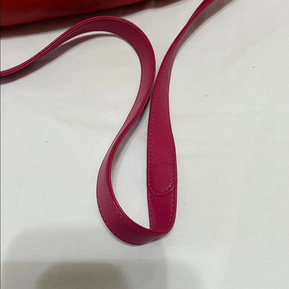 LOEWE LEATHER FLAMENCO CROSSBODY BAG - Picture 10 of 17